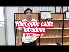 Cable à fibre optique pour télécommunications 2-288 cœurs extérieurs non métalliques G652D GYFTY