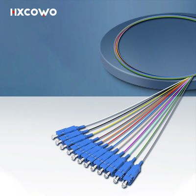 acheter HXCOWO 12 Core Bundle SC Pigtail G657A1 A2 1 Meter Customized Length Fiber Optic Pigtail fabrication en ligne