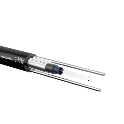 longueur personnalisée GYXTW câble à fibre optique pour projet de caméra de surveillance aérienne extérieure Type de fibre G652D/G657A1/G657A2 4-12 noyau