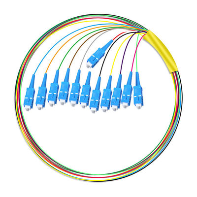 HXCOWO 12 Core SC Bundle Tail Single Mode Telecom Grade Head And Tail Fiber Optic Pigtail