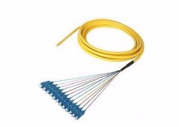 SC/UPC SM 12Core Pigtail